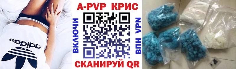 Альфа ПВП СК КРИС Кострома