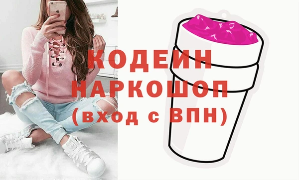 хмурый Семилуки