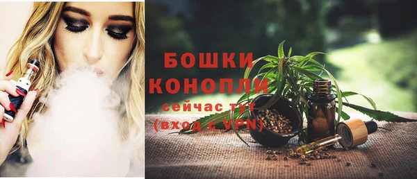 хмурый Семилуки