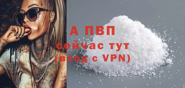 хмурый Семилуки