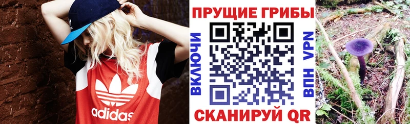 Галлюциногенные грибы ЛСД  закладка  blacksprut зеркало  Кострома 