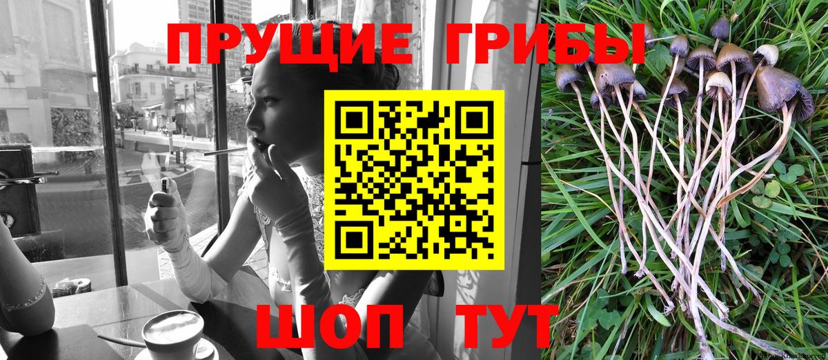 Галлюциногенные грибы мухоморы  Псилоцибиновые грибы GOLDEN TEACHER  Вход с VPN  продажа наркотиков  Кострома 