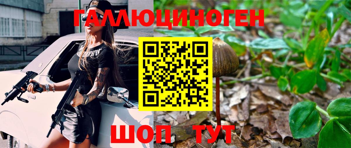 Галлюциногенные грибы MAGIC MUSHROOMS Кострома
