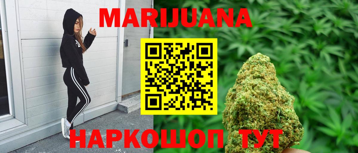 Конопля гибрид Кострома
